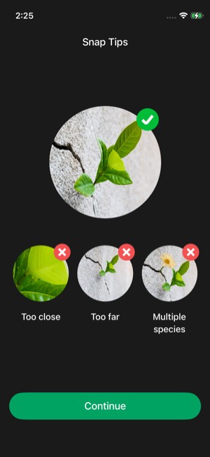 PictureThis screen 12: Onboarding