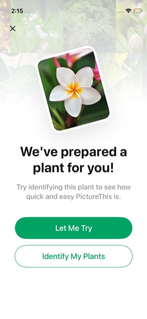 PictureThis screen 4: Home