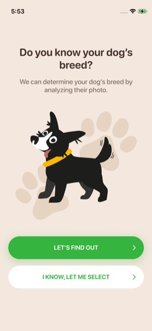 Woofz screen 8: Quiz