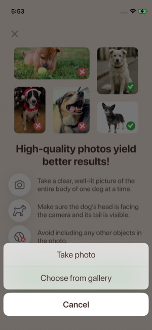 Woofz screen 10: Unclassified